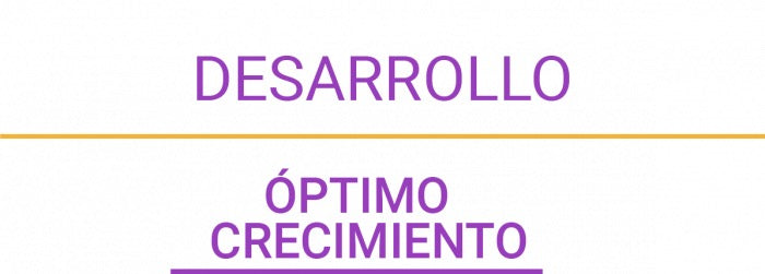 Perfect Sense Cachorro Raza Chica 3kg