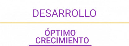 Perfect Sense Cachorro Raza Chica 3kg